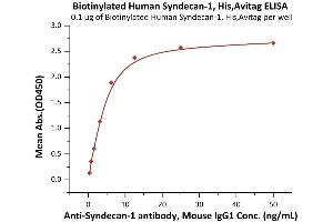ELISA image for Syndecan 1 (SDC1) (AA 23-254) (Active) protein (His tag,AVI tag,Biotin) (ABIN6973275)