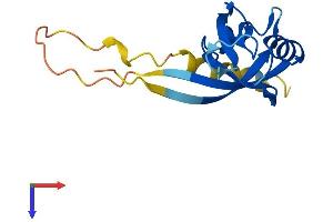 SYNJ2BP Protein (AA 1-145) (His tag)