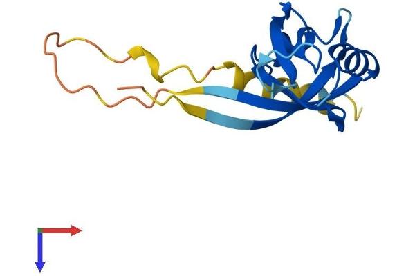 SYNJ2BP Protein (AA 1-145) (His tag)