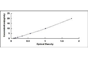 Typical standard curve (Permeability Glycoprotein ELISA Kit)