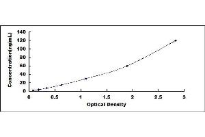 Typical standard curve (IL-6 Receptor ELISA Kit)