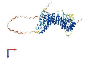 FBXL6 Protein (AA 1-535) (His tag)