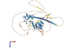 TICAM1 Protein (AA 1-712) (His tag)