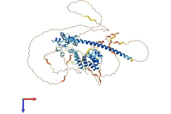 TICAM1 Protein (AA 1-712) (His tag)