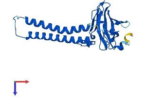 COX2 Protein (AA 1-227) (His tag)