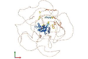 AlphaFold protein structure predicition of Mouse Recombinant Arhgap30 Protein, UniprotID Q640N3