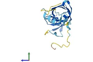 AlphaFold protein structure predicition of Human Recombinant ERVK-21 Protein, UniprotID P63119
