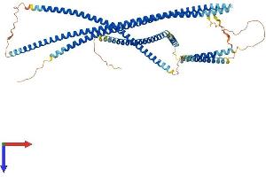 JAKMIP1 Protein (AA 1-626) (His tag)