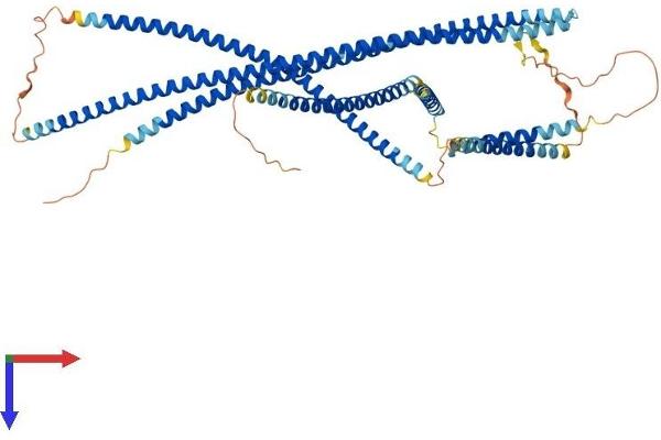 JAKMIP1 Protein (AA 1-626) (His tag)