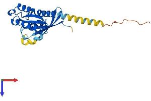 RAB15 Protein (AA 1-212) (His tag)