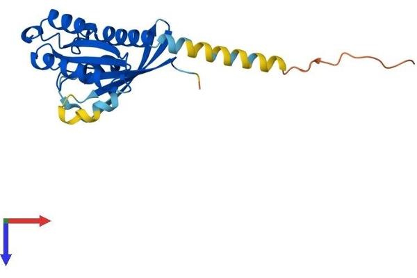 RAB15 Protein (AA 1-212) (His tag)