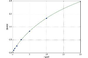 A typical standard curve