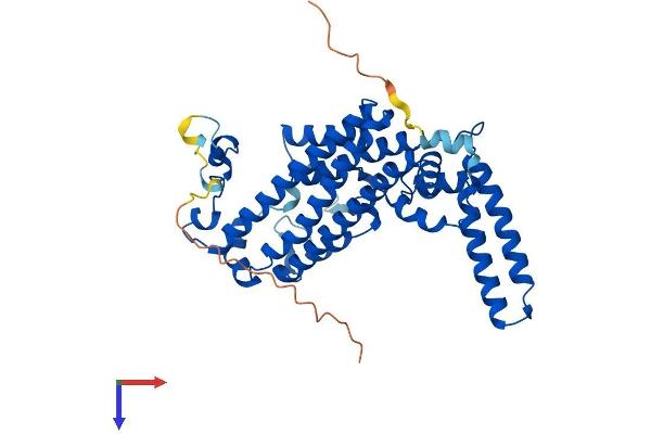 TDO2 Protein (AA 1-406) (His tag)