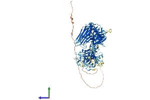 Protein Structure (PS) image for Transmembrane Protease, Serine 7 (TMPRSS7) (AA 1-843) protein (His tag) (ABIN7555786)