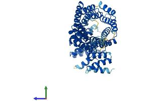 AlphaFold protein structure predicition of Human Recombinant IFIT5 Protein, UniprotID Q13325