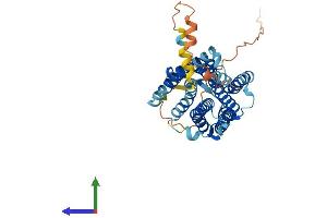 Protein Structure (PS) image for Prokineticin Receptor 2 (PROKR2) (AA 1-381) protein (His tag) (ABIN7559564)