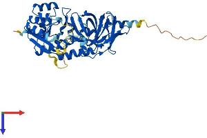 TRMU Protein (AA 1-417) (His tag)