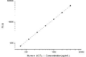 Typical standard curve (Actin CLIA Kit)