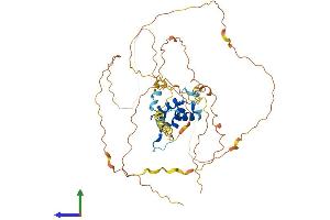 Protein Structure (PS) image for Forkhead Box D3 (FOXD3) (AA 1-478) protein (His tag) (ABIN7547708)