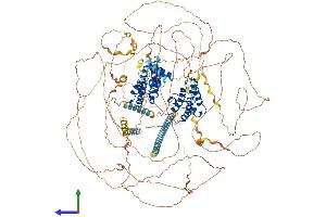 AlphaFold protein structure predicition of Mouse Recombinant Brd4 Protein, UniprotID Q9ESU6