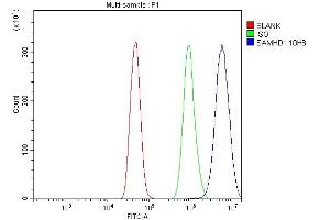 Flow Cytometry analysis of A431 cells using anti-SAMDH1 antibody (ABIN7601514). (SAMHD1 Antikörper  (AA 37-626))