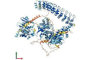 Protein Structure (PS) image for Death-Associated Protein Kinase 1 (DAPK1) (AA 1-1442) protein (His tag) (ABIN7564299)