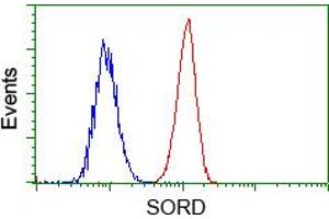 HEK293T cells transfected with either pCMV6-ENTRY SORD (RC200415) (Red) or empty vector control plasmid (Blue) were immunostained with anti-SORD mouse monoclonal (ABIN2453674), and then analyzed by flow cytometry. (SORD Antikörper)