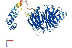 CSTF1 Protein (AA 1-431) (His tag)