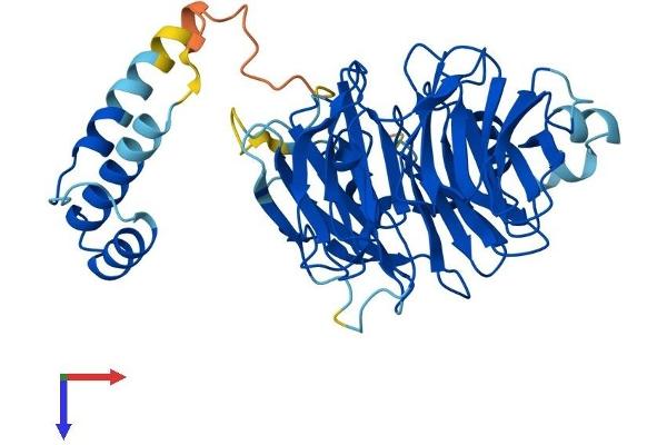 CSTF1 Protein (AA 1-431) (His tag)