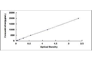 Typical standard curve (C4A ELISA Kit)