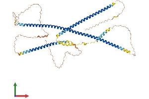 Protein Structure (PS) image for Intermediate Filament Family Orphan 1 (IFFO1) (AA 1-562) protein (His tag) (ABIN7559002)