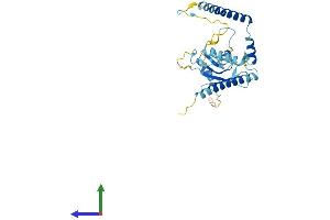 AlphaFold protein structure predicition of Human Recombinant RRP7A Protein, UniprotID Q9Y3A4