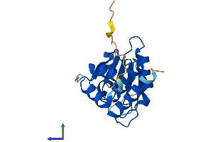 AlphaFold protein structure predicition of Human Recombinant DUSP13A Protein, UniprotID Q6B8I1