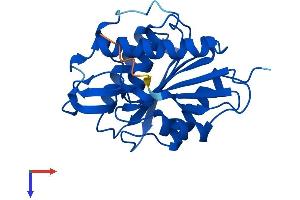 LYPLA1 Protein (AA 1-230) (His tag)