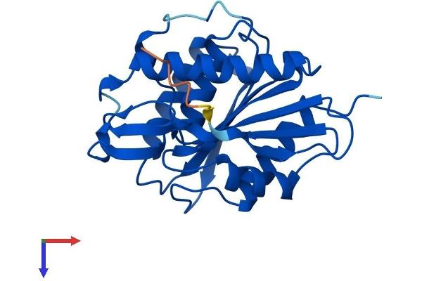 LYPLA1 Protein (AA 1-230) (His tag)