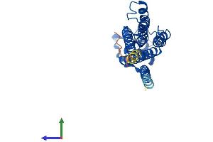 Protein Structure (PS) image for Phosphatidic Acid Phosphatase Type 2 Domain Containing 1B (PPAPDC1B) (AA 1-264) protein (His tag) (ABIN7550784)