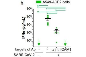 Flow Cytometry (FACS) image for anti-Integrin alpha-L (ITGAL) antibody (ABIN375486)