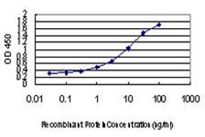 ELISA image for anti-Von Hippel-Lindau Tumor Suppressor, E3 Ubiquitin Protein Ligase (VHL) (AA 1-110) antibody (ABIN563371)
