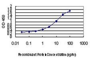 Detection limit for recombinant GST tagged VHL is approximately 0. (VHL Antikörper  (AA 1-110))