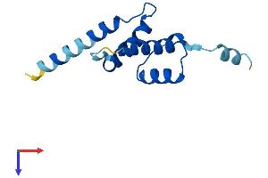 CDKN2AIPNL Protein (AA 1-116) (His tag)