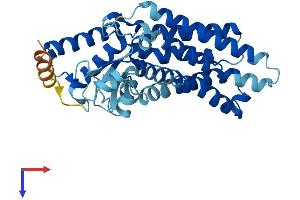 Sideroflexin 5 (SFXN5) (AA 1-340) protein (His tag)