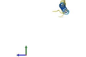 AlphaFold protein structure predicition of Human Recombinant SMCO4 Protein, UniprotID Q9NRQ5