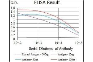 Red: Control Antigen (100 ng), Purple: Antigen (10 ng), Green: Antigen (50 ng), Blue: Antigen (100 ng), (CDK4 Antikörper)