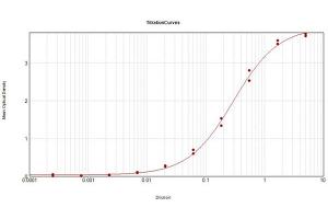 ELISA Results of Rabbit Anti-Hexokinase Antibody tested against purified Hexokinase. (Hexokinase 2 Antikörper)