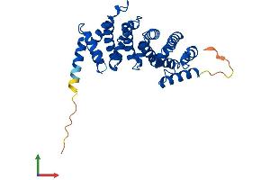 Protein Structure (PS) image for RCD1 Required For Cell Differentiation1 Homolog (RQCD1) (AA 1-299) protein (His tag) (ABIN7555168)