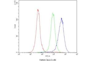 Flow Cytometry (FACS) image for anti-Cytochrome P450, Family 1, Subfamily A, Polypeptide 1 (CYP1A1) (AA 183-320) antibody (ABIN4950722)