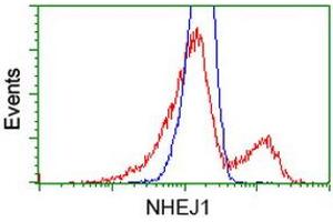 Image no. 13 for anti-Nonhomologous End-Joining Factor 1 (NHEJ1) antibody (ABIN1499729) (NHEJ1 Antikörper)