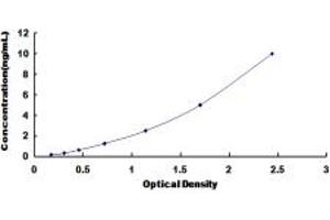 Nischarin ELISA Kit