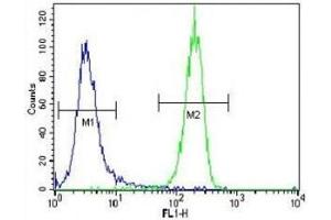 Flow Cytometry (FACS) image for anti-serine/threonine Kinase 11 (STK11) (AA 19-48) antibody (ABIN3032541)