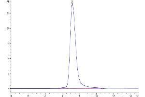 Size-exclusion chromatography-High Pressure Liquid Chromatography (SEC-HPLC) image for Leukocyte Immunoglobulin-Like Receptor, Subfamily B (With TM and ITIM Domains), Member 5 (LILRB5) (AA 18-456) protein (His-Avi Tag) (ABIN7275193)